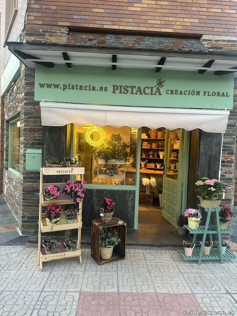 Pistacia Creación Floral