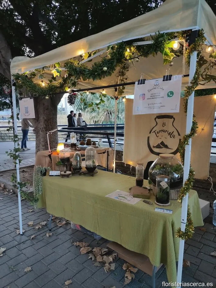 El Terrarista, Terrarios Artesanales