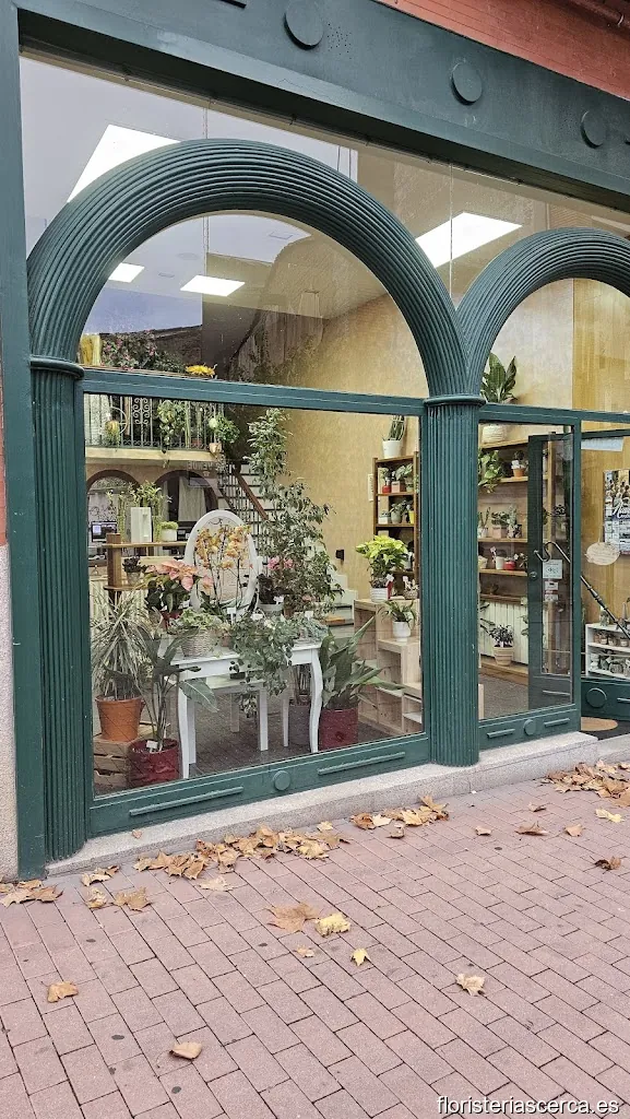 Floristería El secreto de las plantas