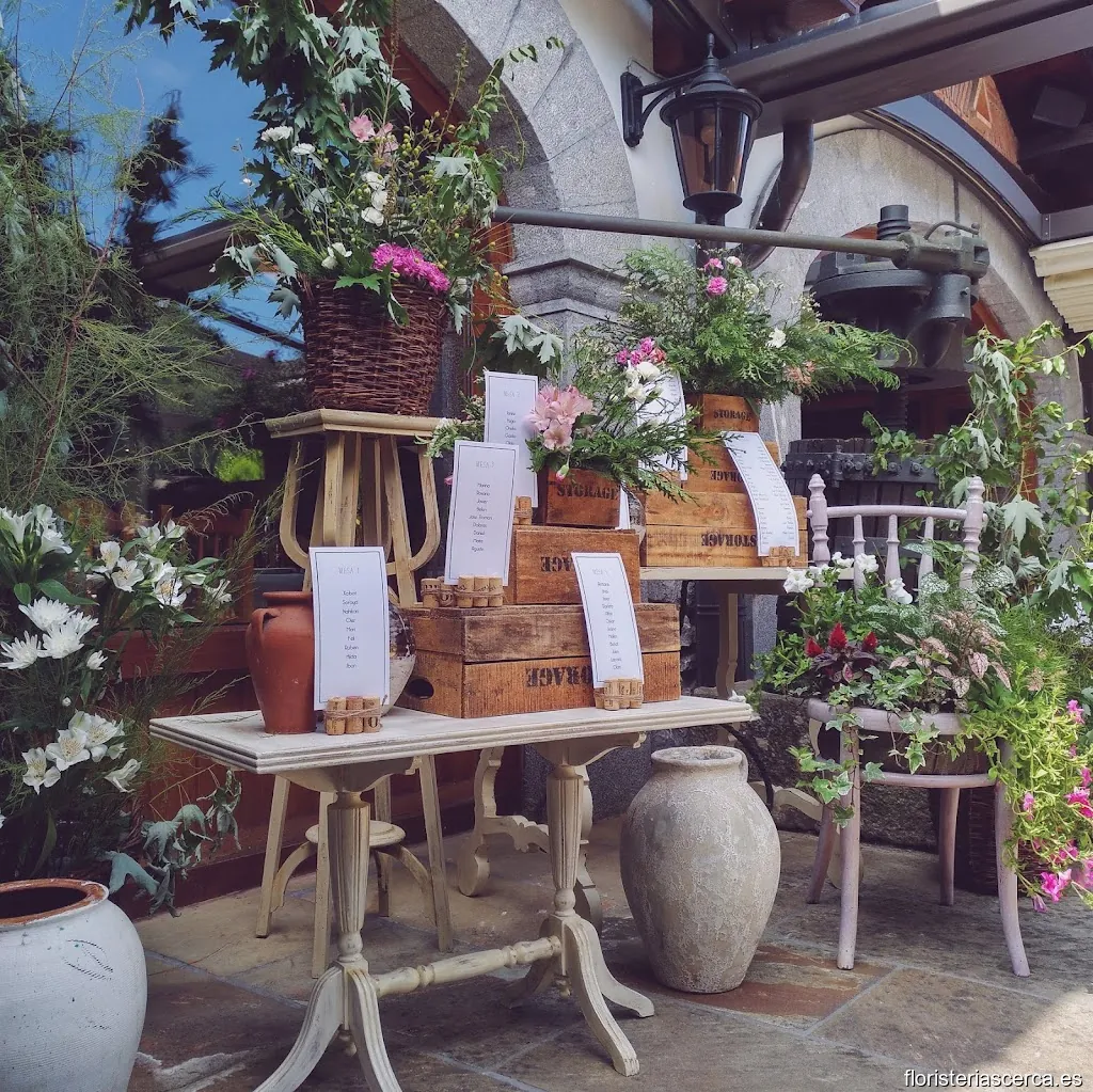 Udane Irastorza Paisajista