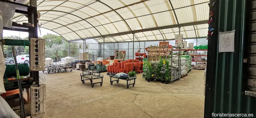 Vivero Veracruz Benalmadena