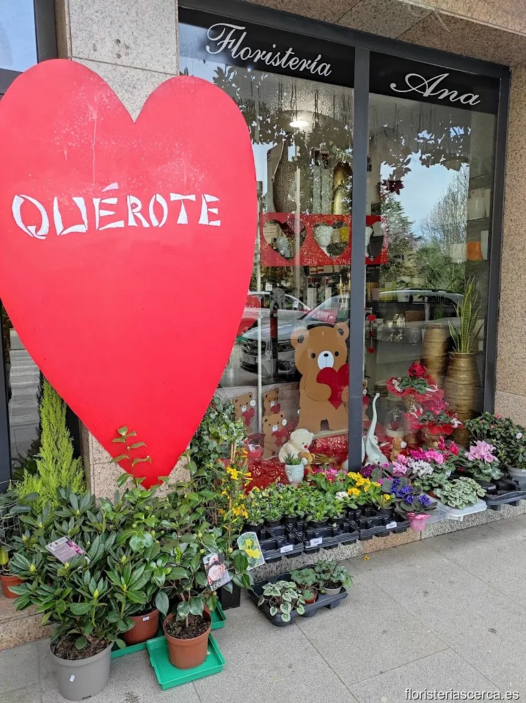 Floristería Ana