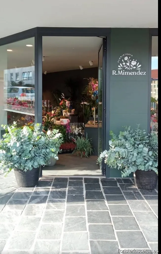 Floristería R. Mimendez, Abedules