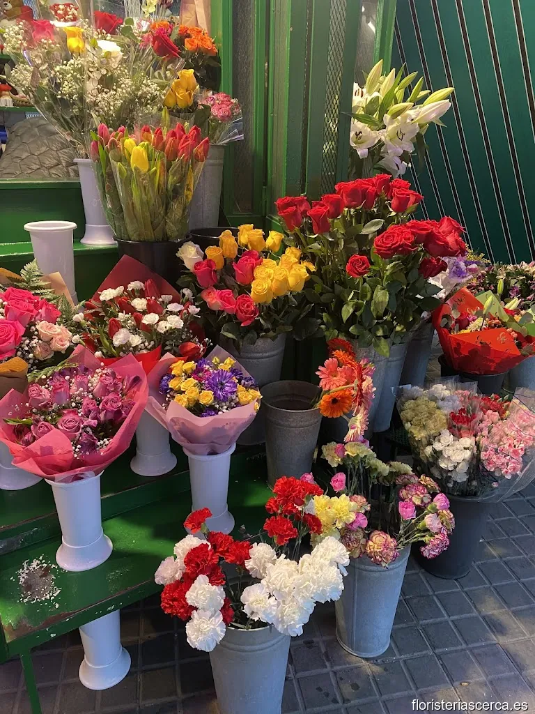 Flores I Plantes Marta