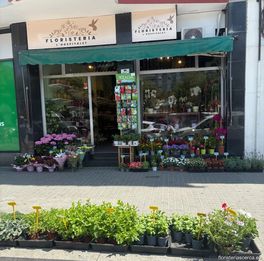 Floristería Hospitalet