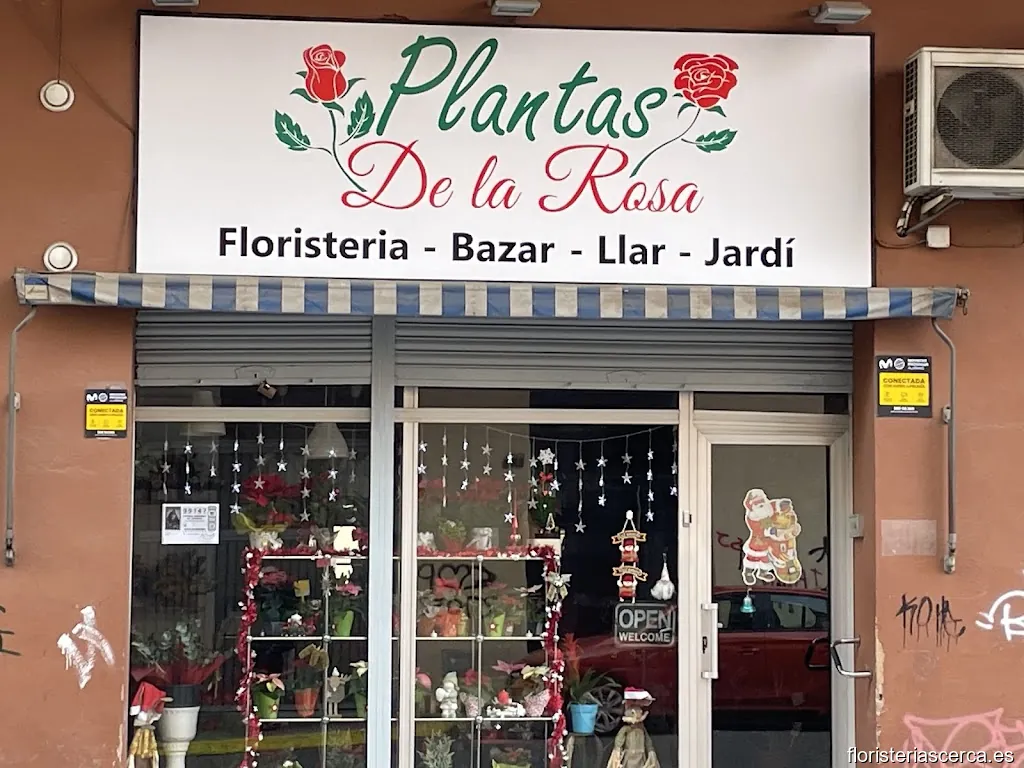 Floristería Plantas de la Rosa