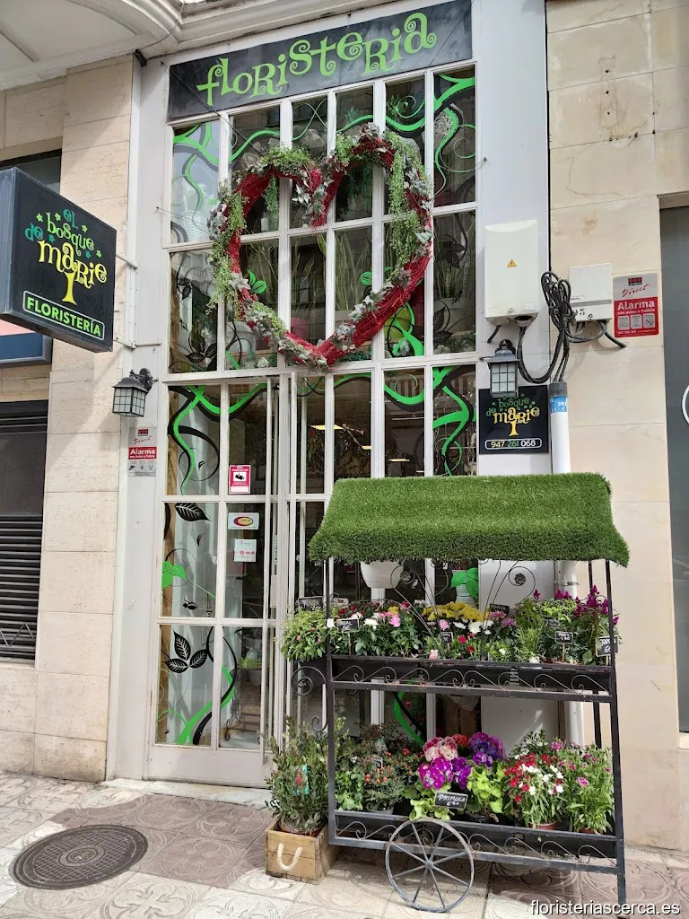 Floristería El Bosque de Marie