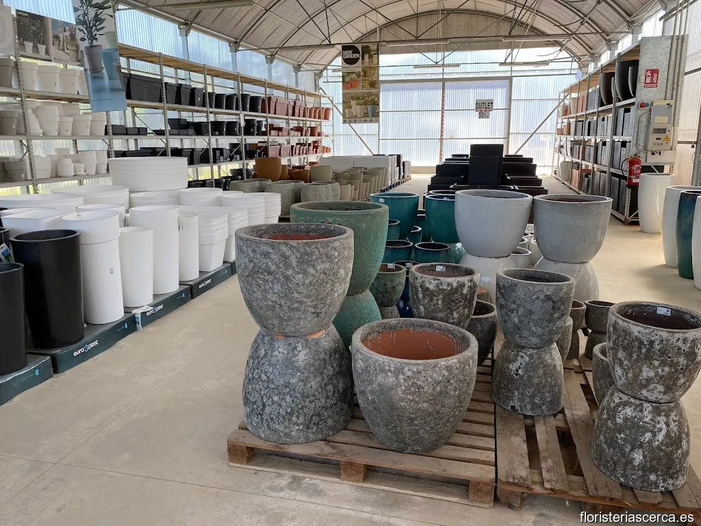 Vivers de Cardedeu - Centro de jardinería Cardedeu - Viveros - Centre - Pépinières - Nursery