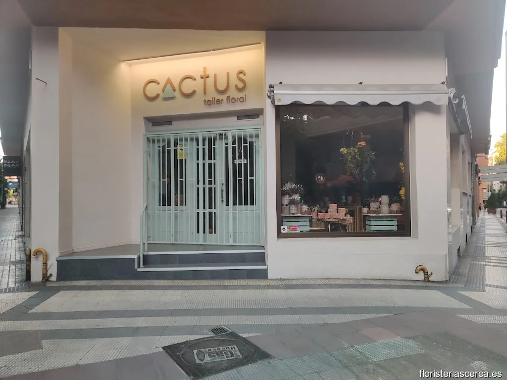 Cactus Taller Floral