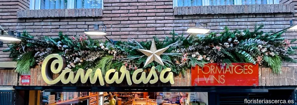 Flores Oliva Javi y Anabel (Floristería)