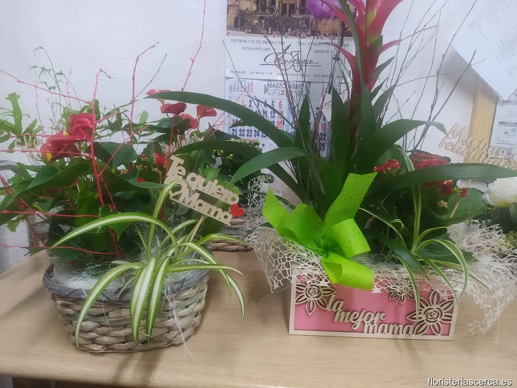 Floristería Ikebana