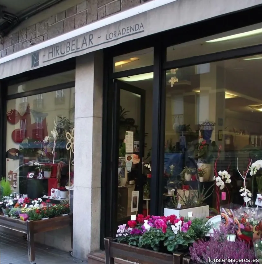 Floristería HIRUBELAR Irun