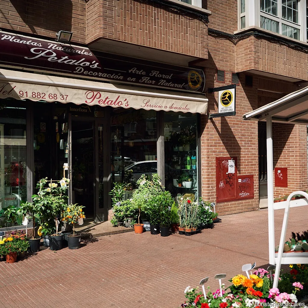 Floristería Pétalos