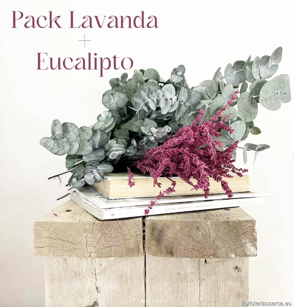 Flores con Flow - MNM Decoflow S.L.