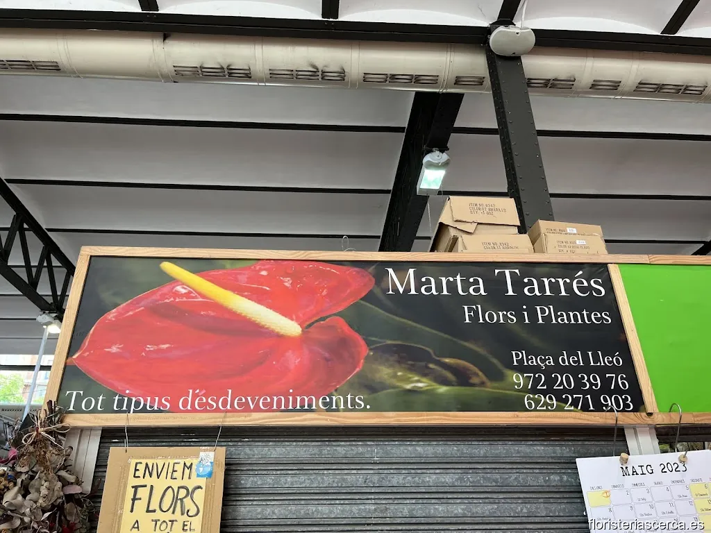 Marta Tarrés López