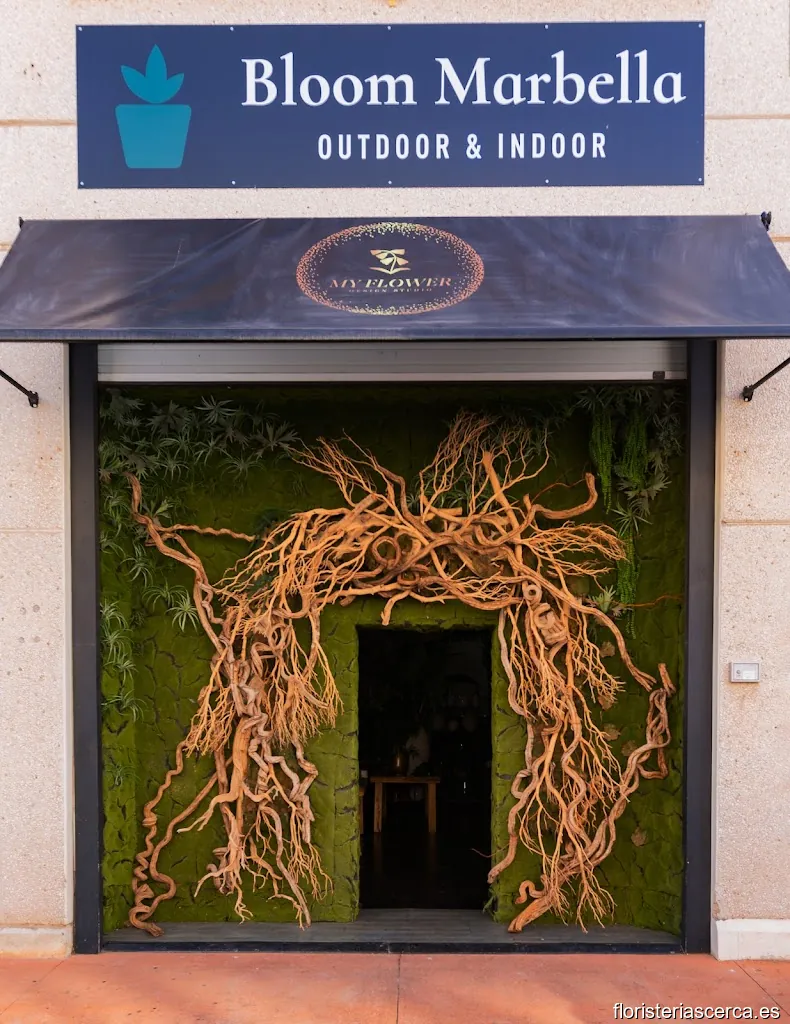 Bloom Marbella S.l.