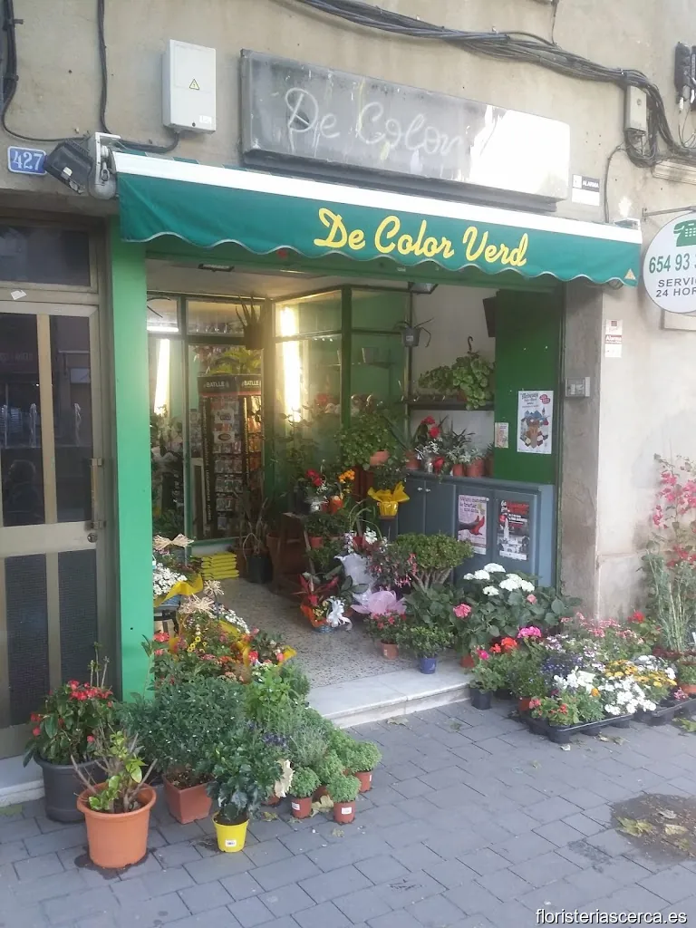Floristería De Color Verd Verd imatge