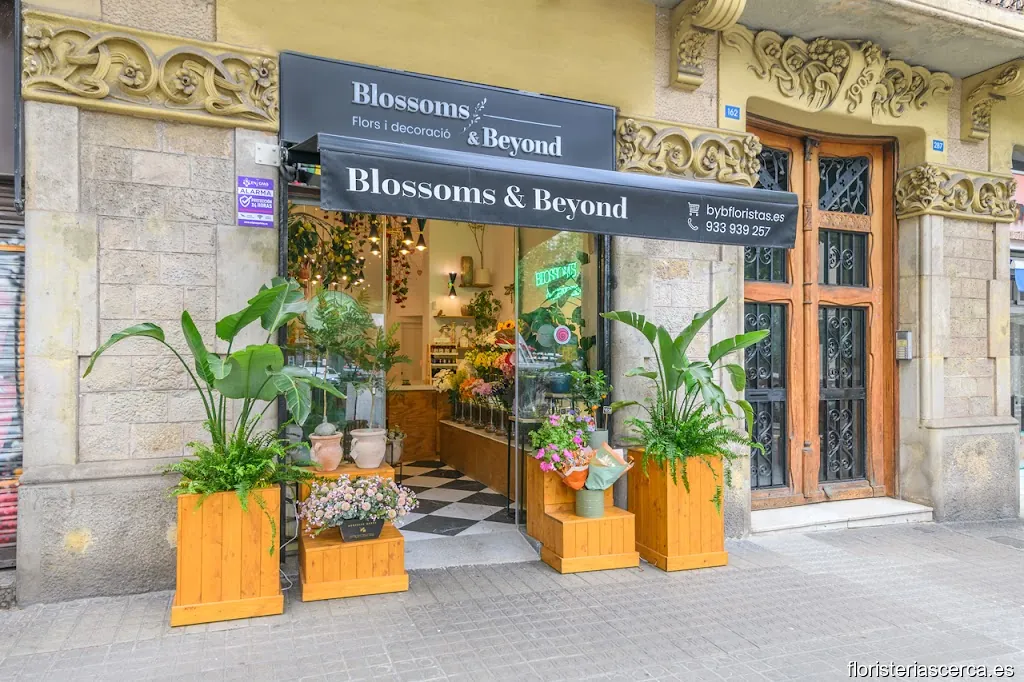 Floristería Blossoms & Beyond Eixample