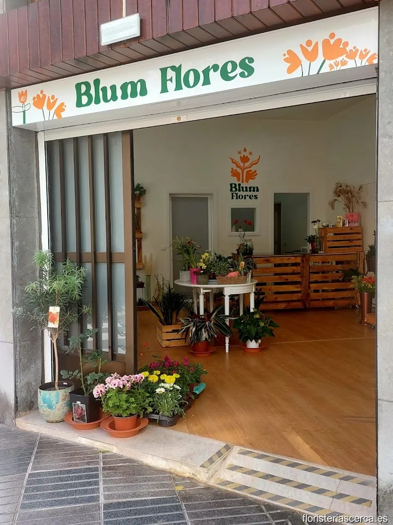 Blum Flores