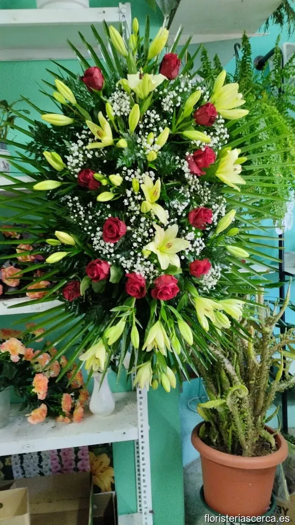 Floristería A Labranza
