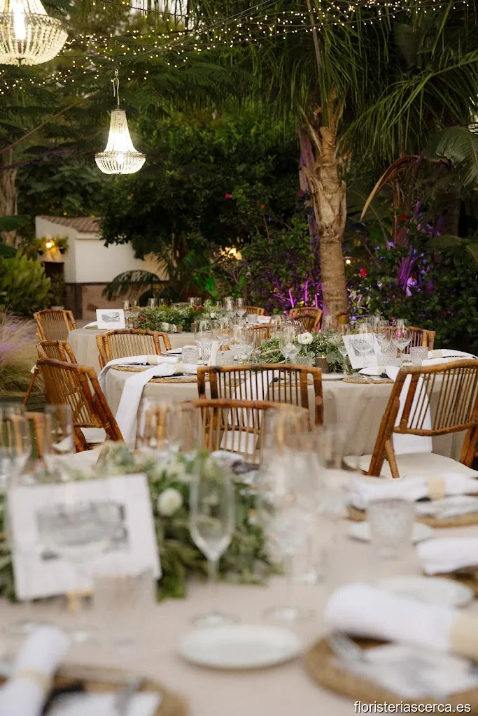 💚 NF 💜 Arte Floral 🌵🌸🪴