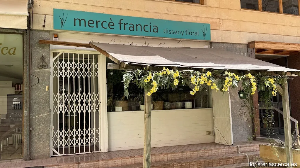 Floristeria Mercè Francia