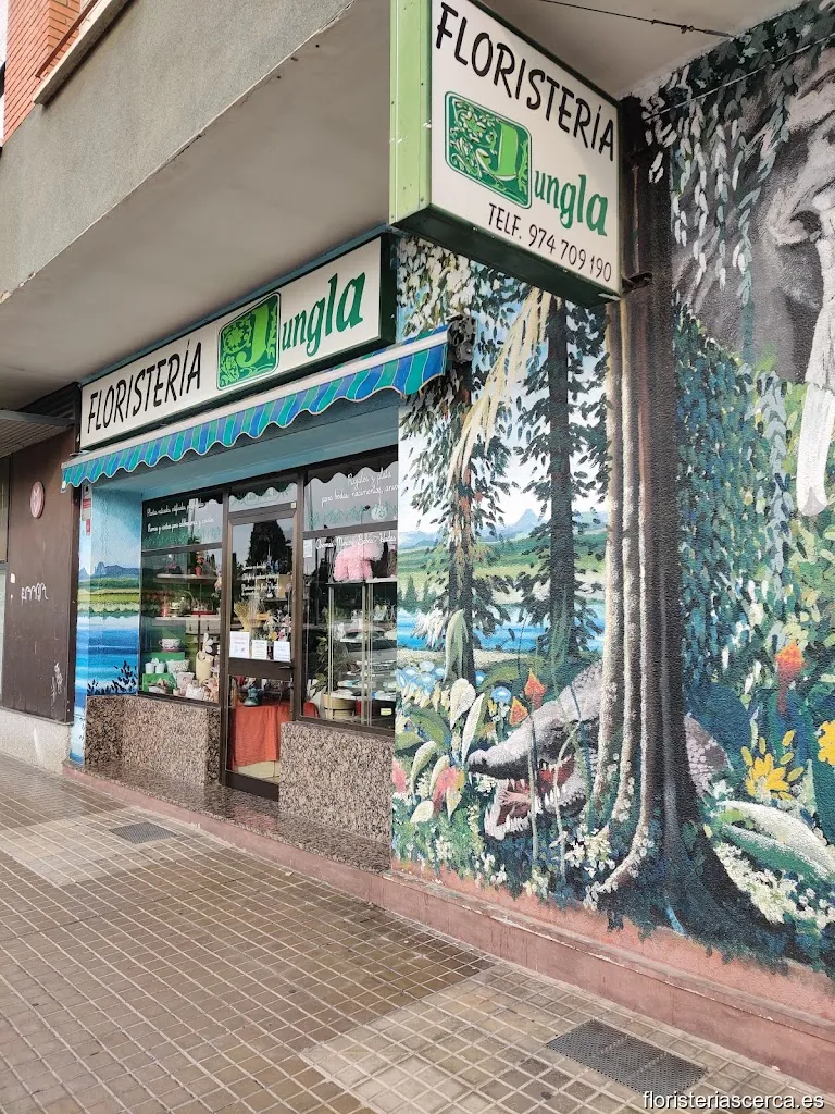 Floristería Jungla