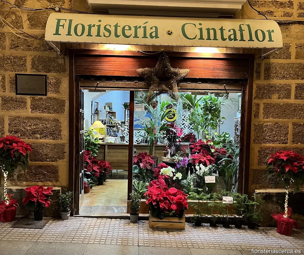 Floristería Cintaflor