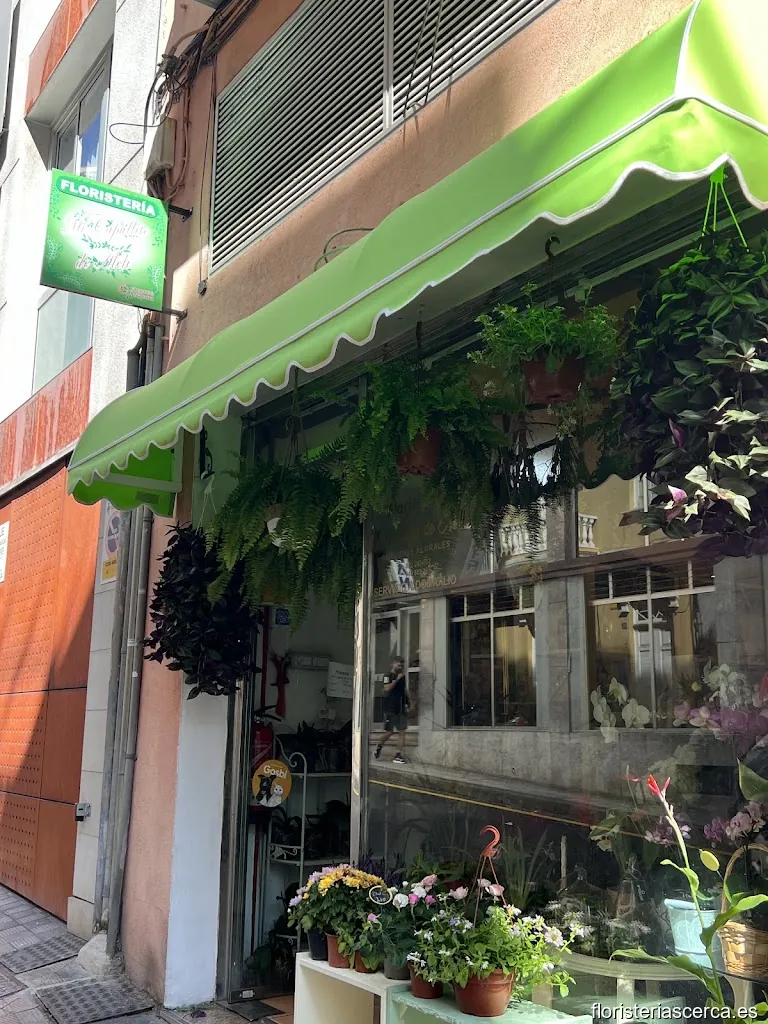 Floristería Mi capullito de Aleli